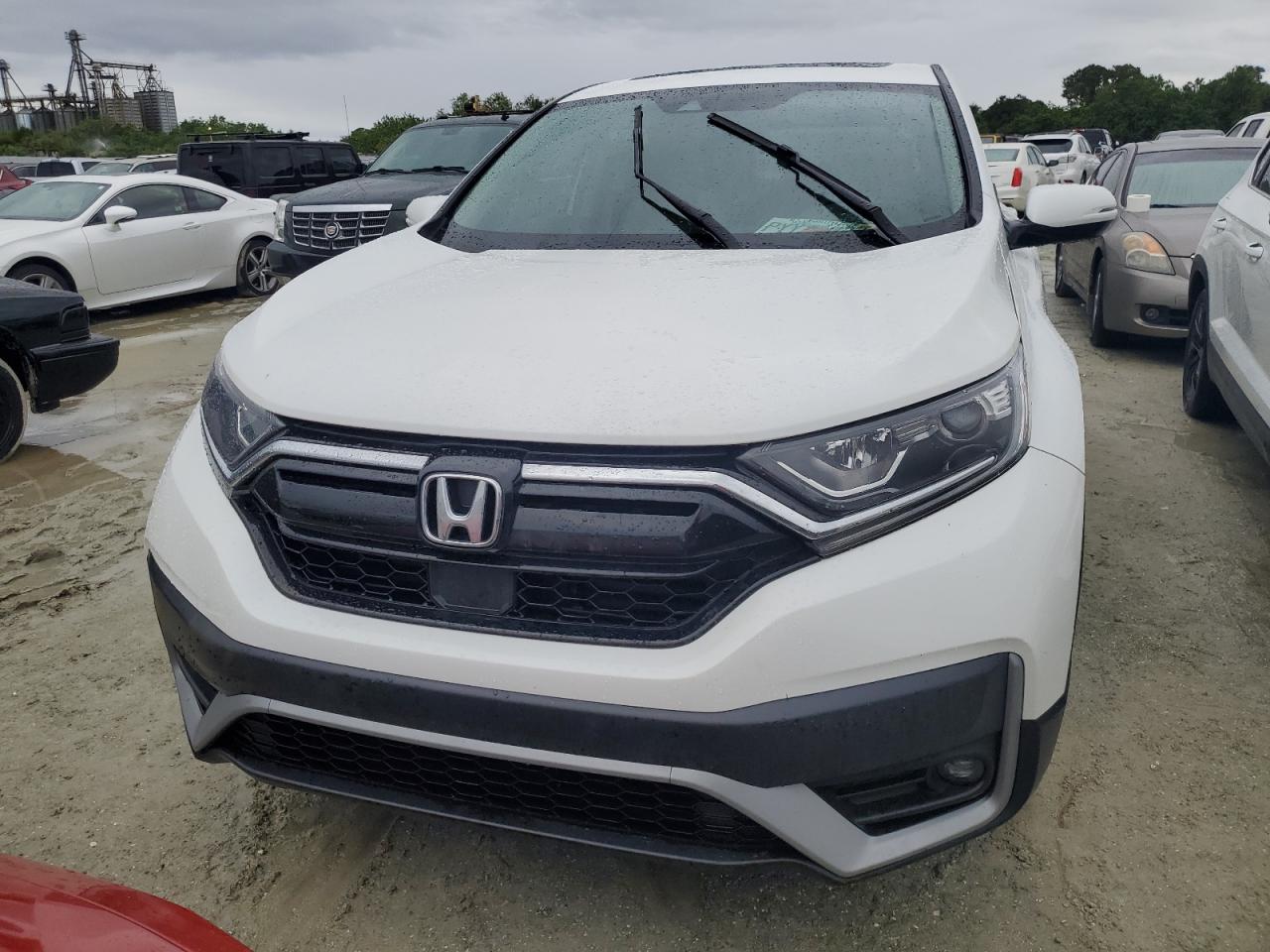 2020 Honda CR-V - Image 5
