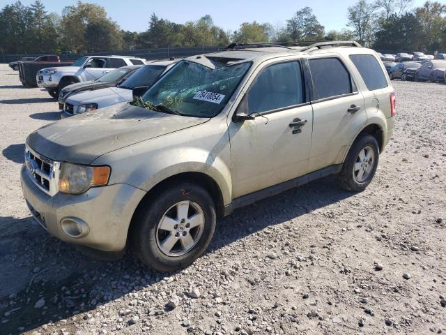 2010 Ford Escape Xlt