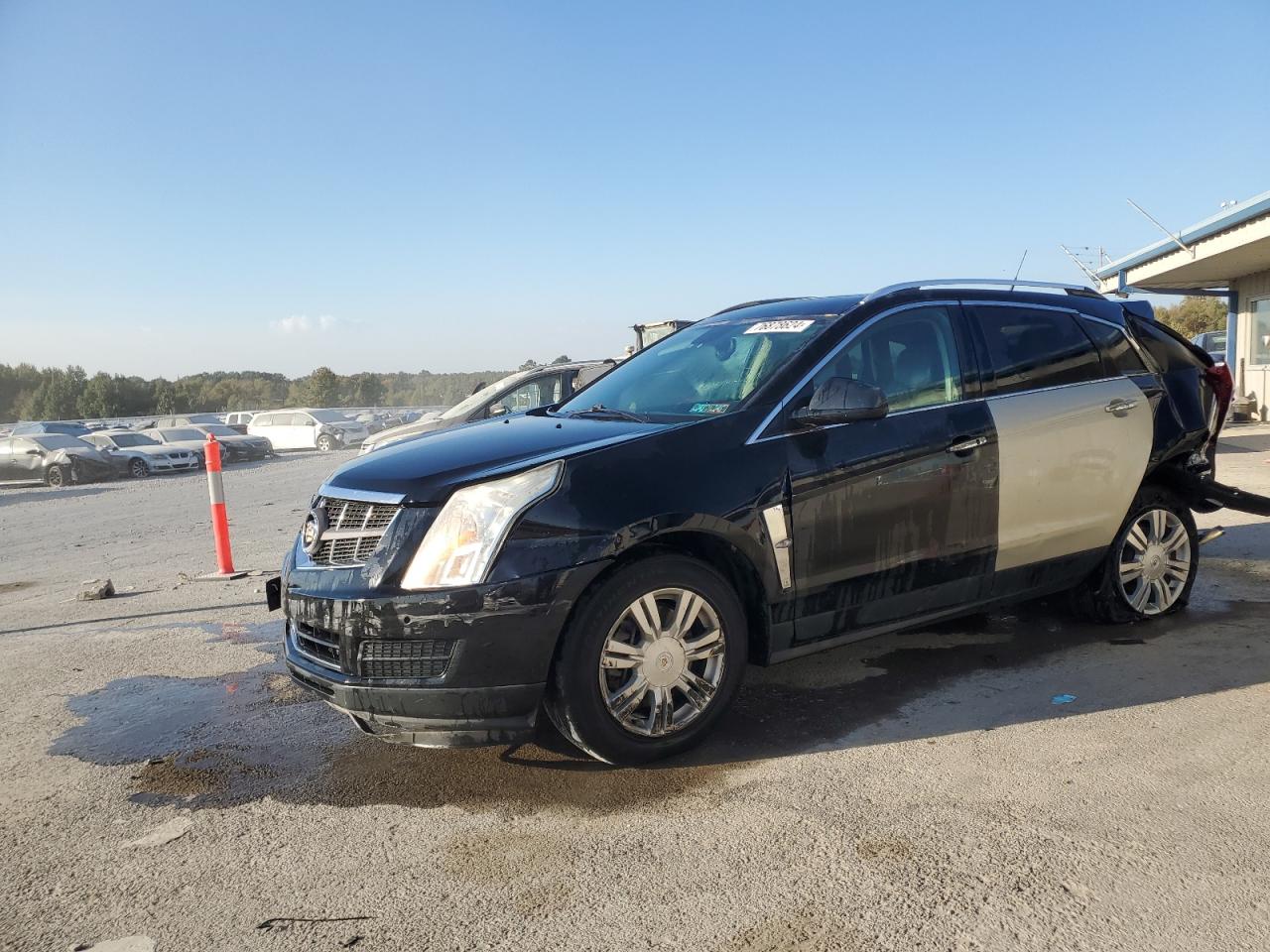 2012 Cadillac Srx Luxury Collection VIN: 3GYFNDE35CS656935 Lot: 76878624