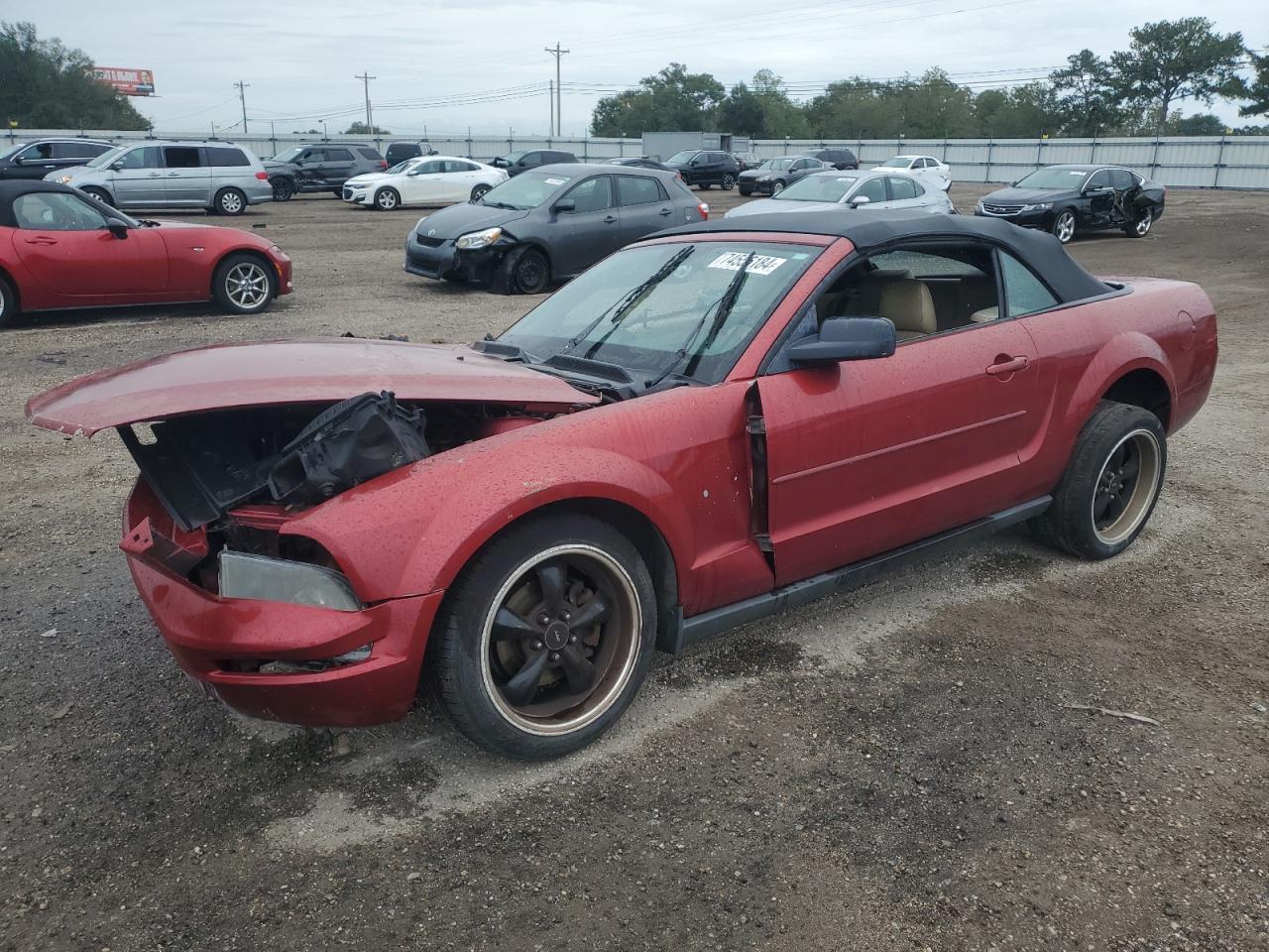 2005 Ford Mustang - Image 1