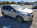 2014 Ford Escape Se na sprzedaż w Memphis, TN - Undercarriage