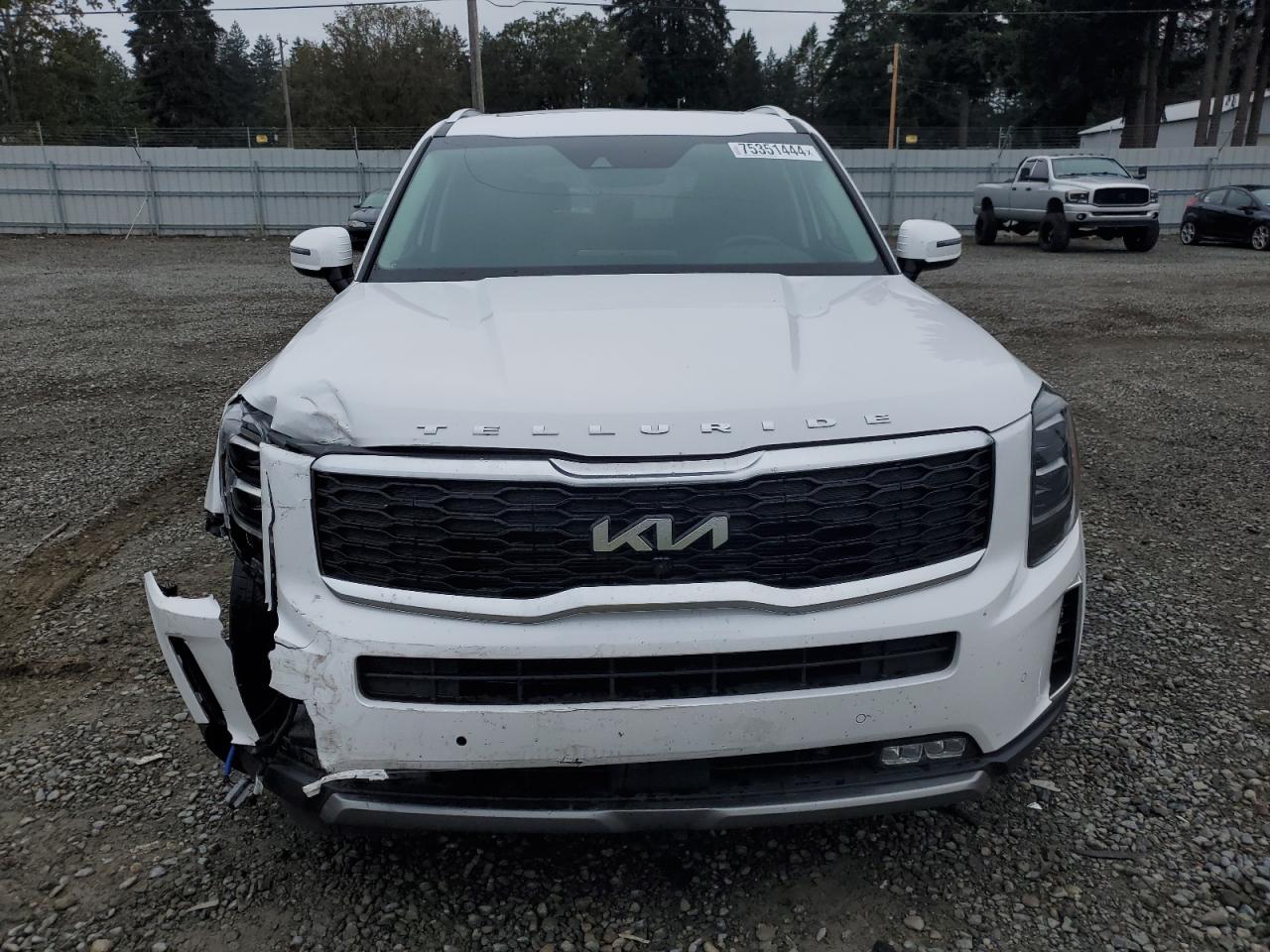 5XYP5DHC3NG224189 2022 Kia Telluride Sx