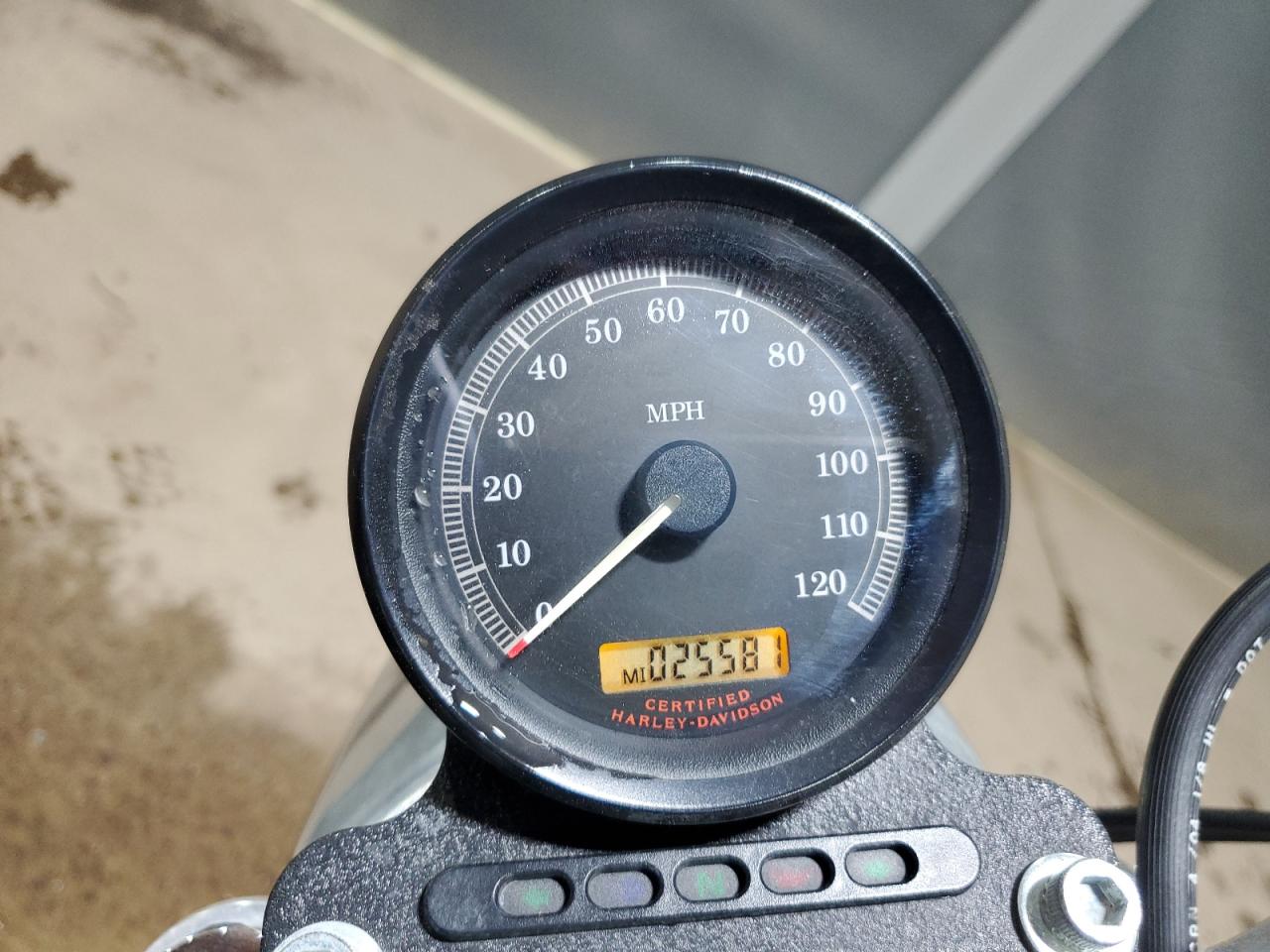 2005 Harley-Davidson Xl883 L VIN: 1HD4CMM1X5K400984 Lot: 75460254