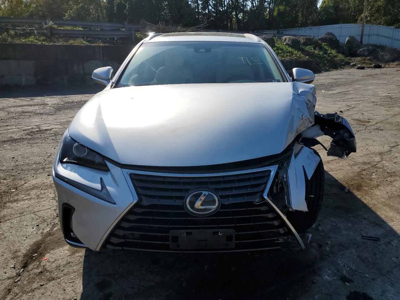 2019 Lexus Nx 300 Base VIN: JTJBARBZ0K2189985 Lot: 75627284