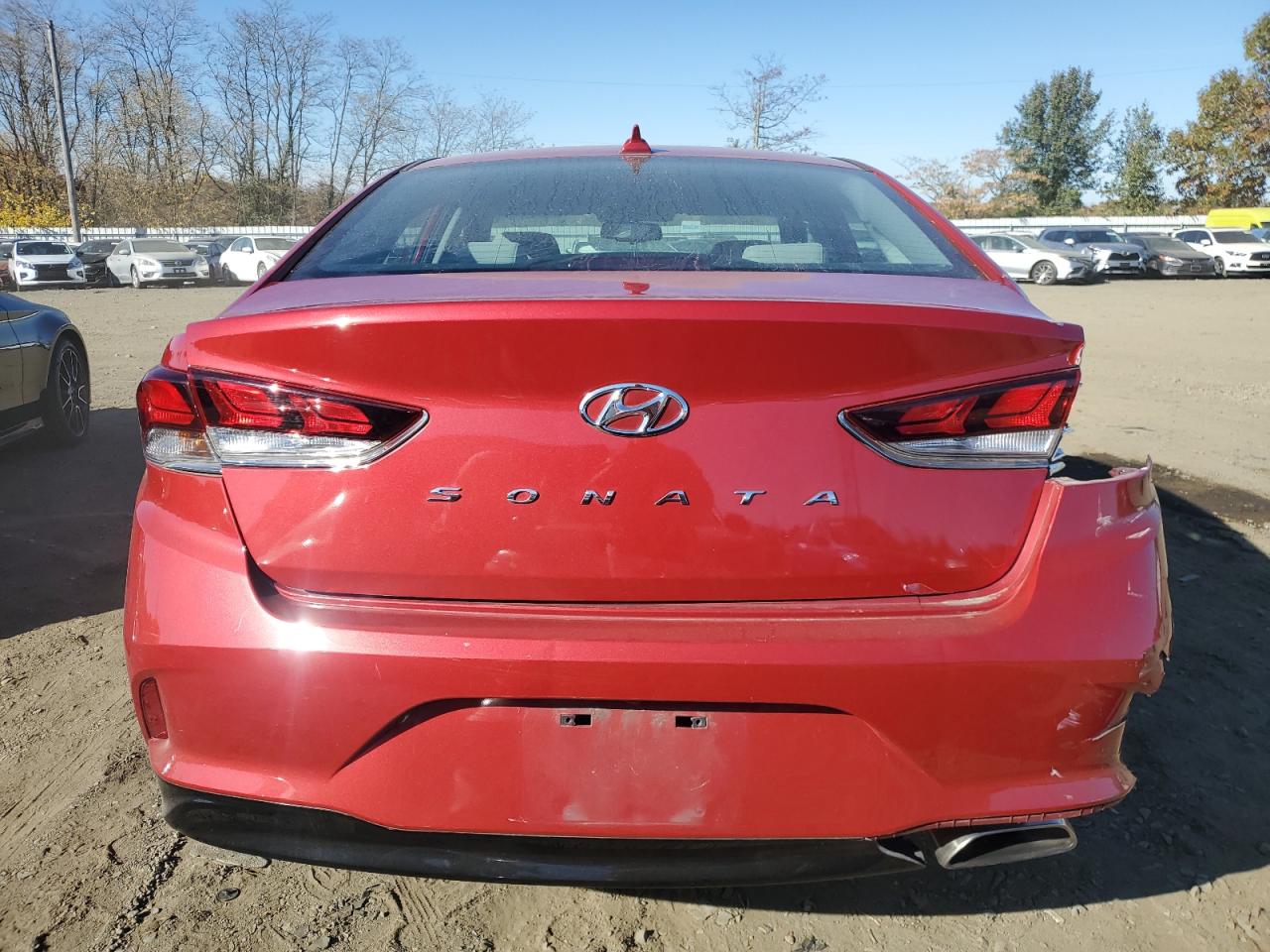 2019 Hyundai Sonata Limited VIN: 5NPE34AF7KH748807 Lot: 77944564