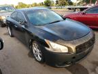 2012 Nissan Maxima S for Sale in Fort Pierce, FL - Minor Dent/Scratches