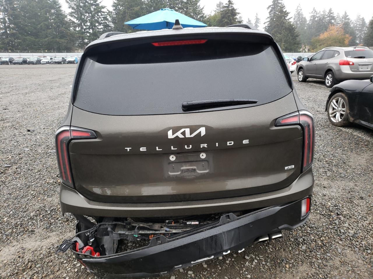 2023 Kia Telluride Ex VIN: 5XYP3DGC4PG328751 Lot: 77484524