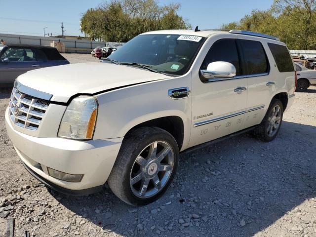 2009 Cadillac Escalade Hybrid