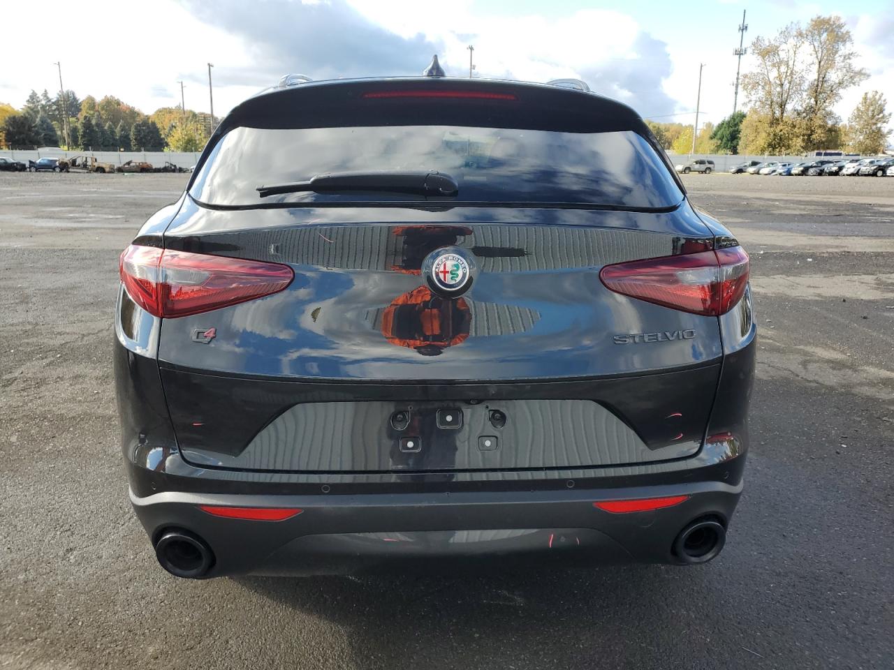 2019 Alfa Romeo Stelvio Ti VIN: ZASPAKBN9K7C34316 Lot: 77994534