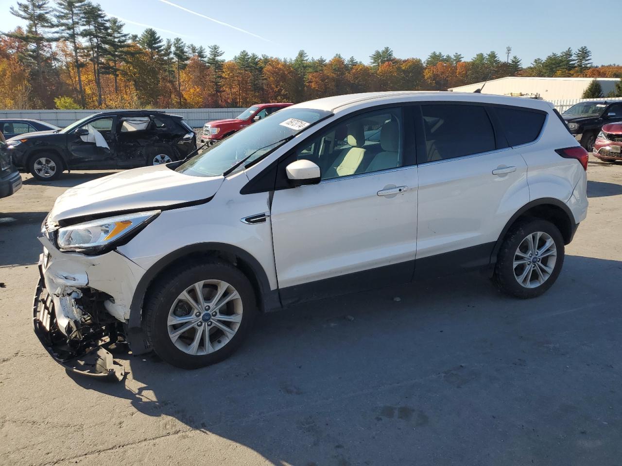 2019 Ford Escape - Image 1