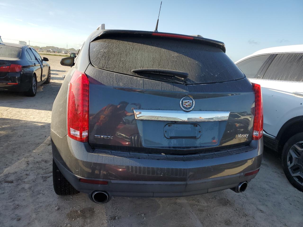 2010 Cadillac Srx Premium Collection VIN: 3GYFNCEY4AS556585 Lot: 75990154