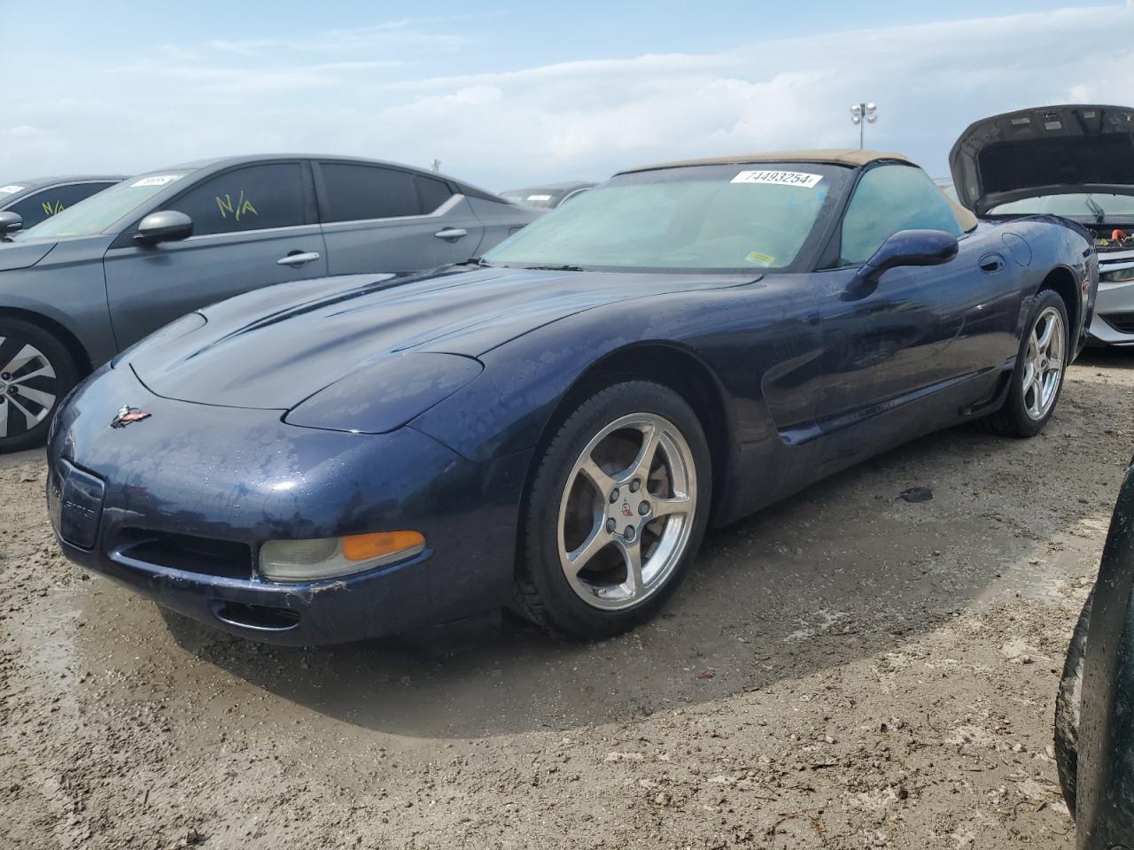 2001 Chevrolet Corvette VIN: 1G1YY32GX15122160 Lot: 74493254