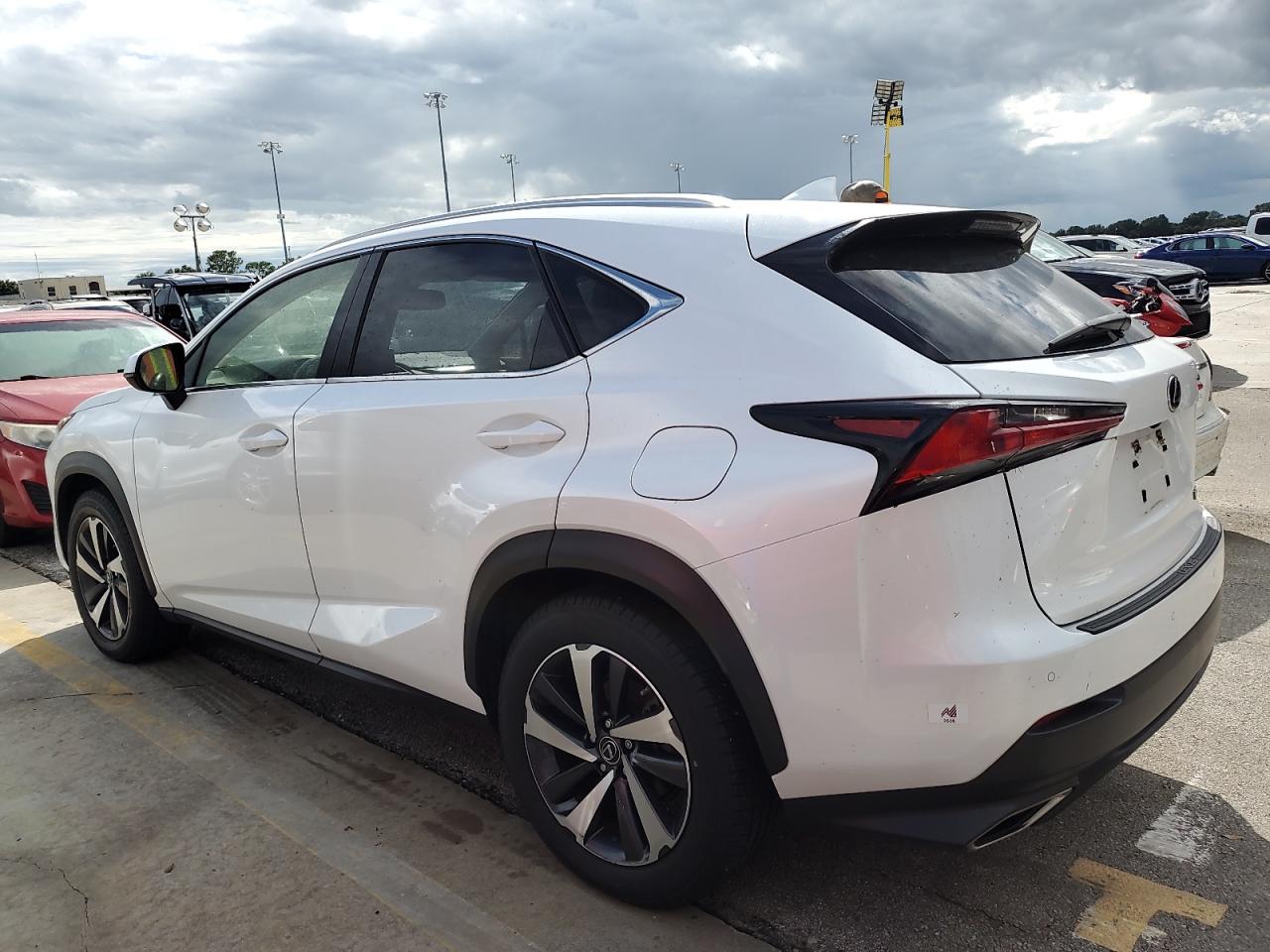 JTJGARDZ5L5016966 2020 LEXUS NX - Image 2