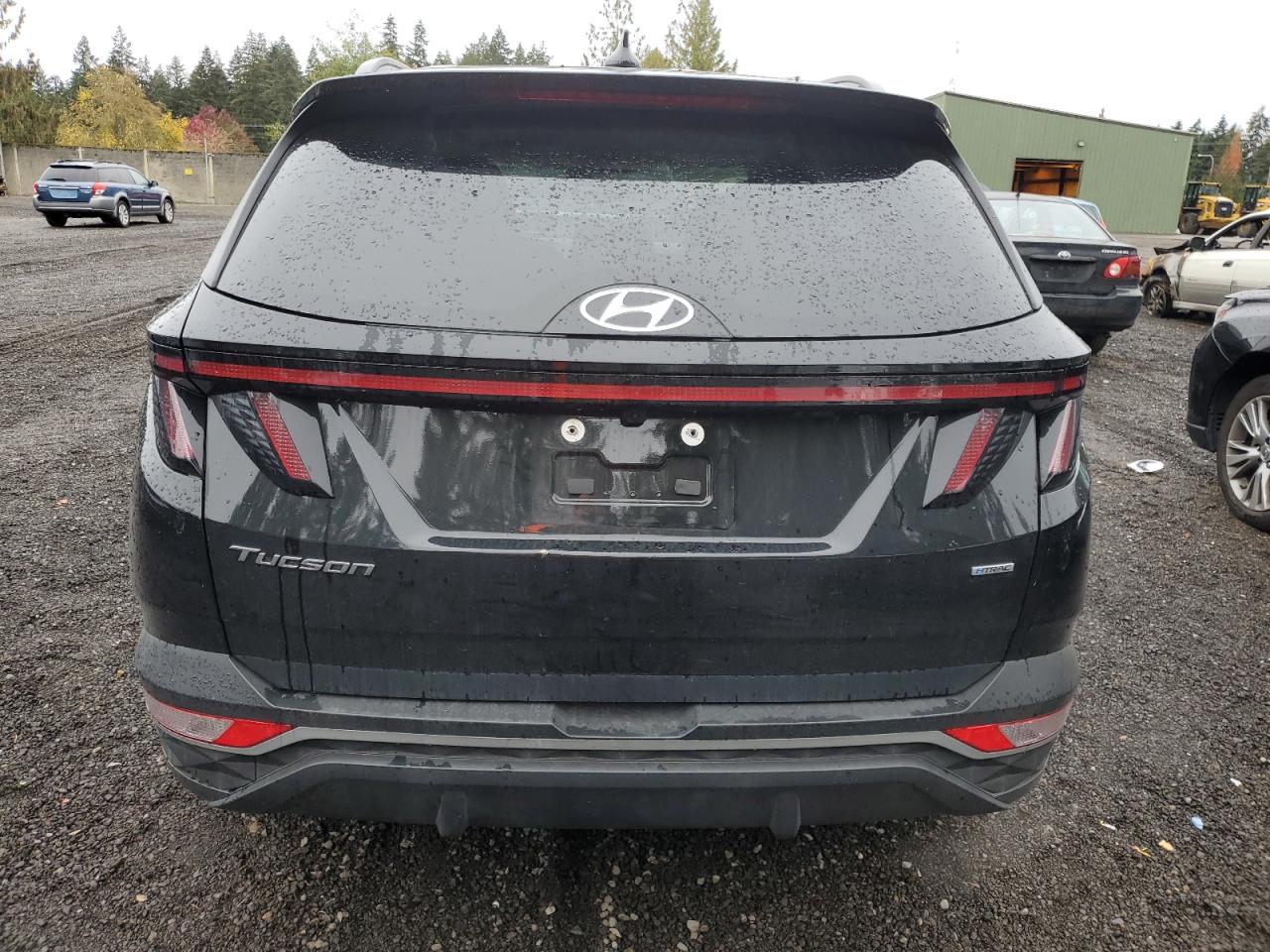 2023 Hyundai Tucson Sel VIN: 5NMJFCAEXPH162386 Lot: 75878384