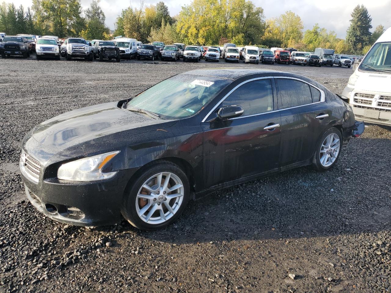 2011 Nissan Maxima S na sprzedaż w Portland, OR - Rear End