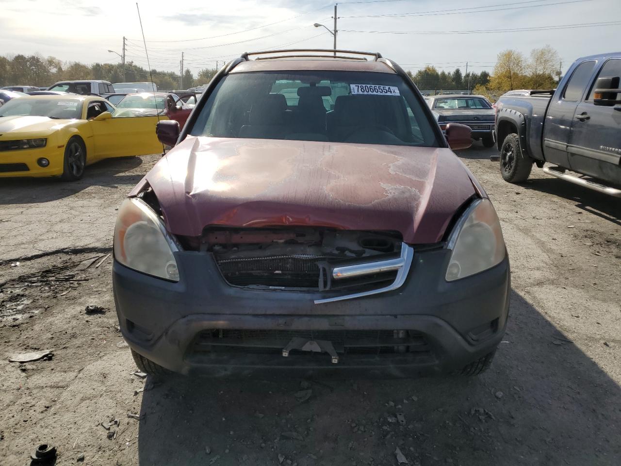 2004 Honda CR-V - Image 5