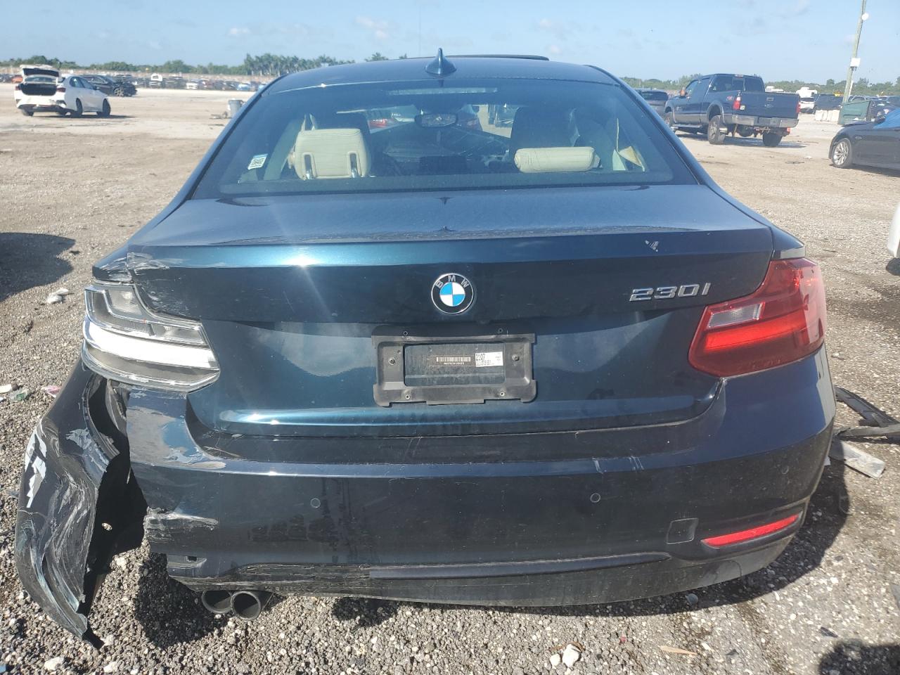 2017 BMW 230I VIN: WBA2F9C34HV664976 Lot: 77244424