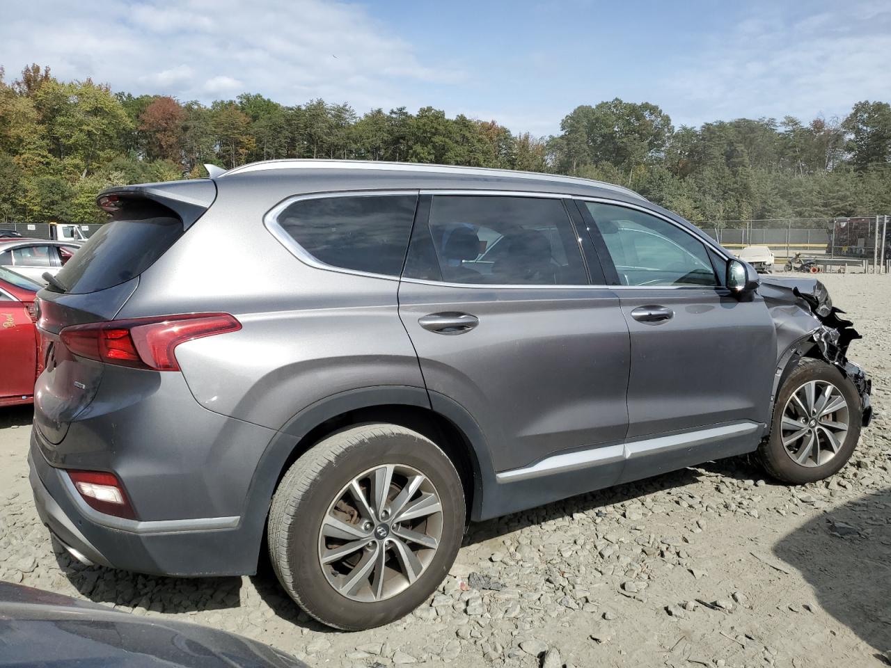 2020 Hyundai Santa Fe Sel VIN: 5NMS3CAD7LH171559 Lot: 75818484