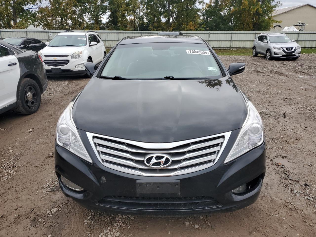 2013 Hyundai Azera VIN: KMHFG4JG5DA215443 Lot: 75048054