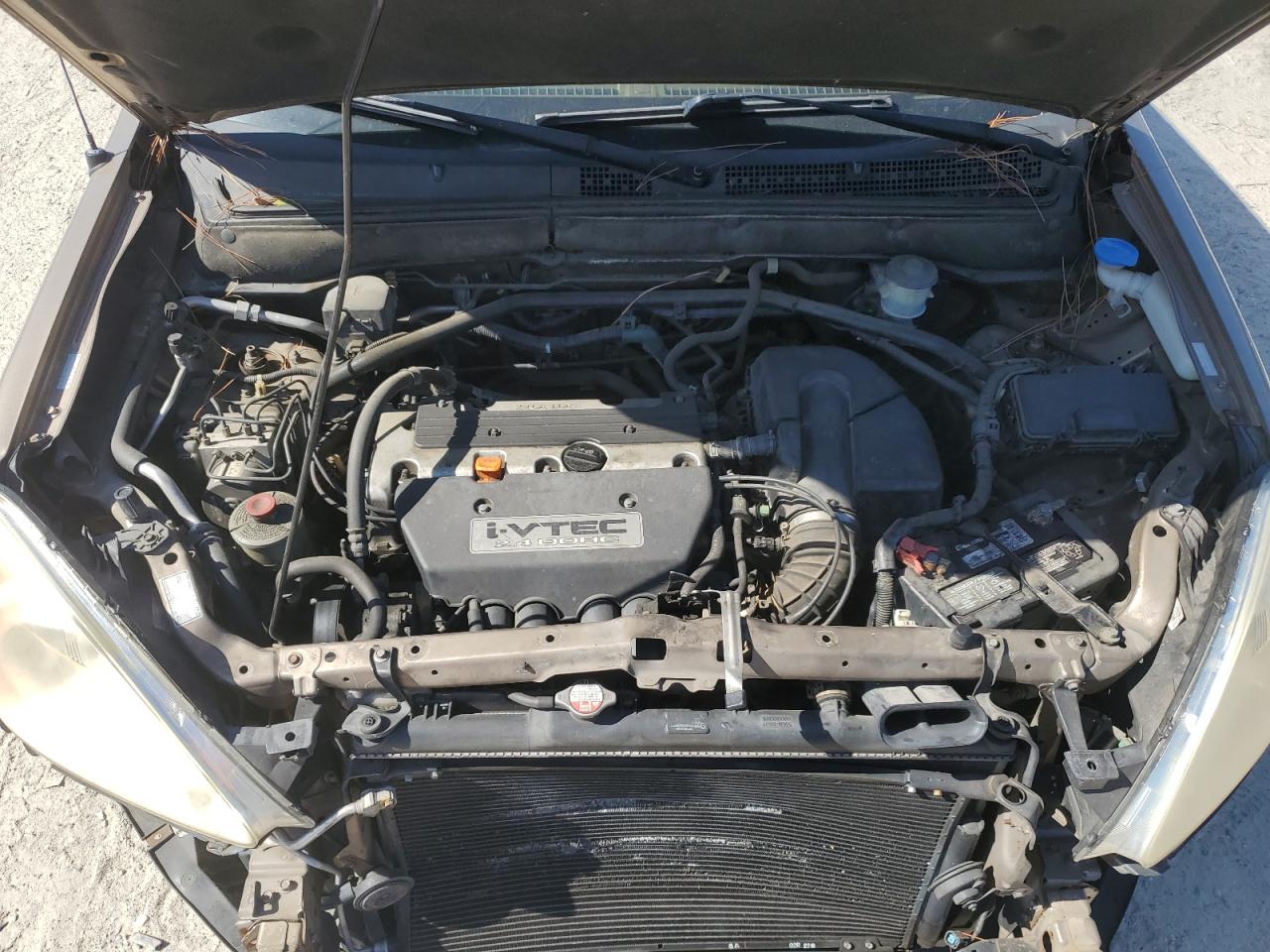 2004 Honda Cr-V Ex VIN: SHSRD78854U220006 Lot: 75720984