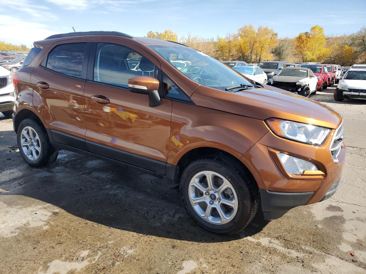 2019 Ford Ecosport Se VIN: MAJ6S3GL7KC257427 Lot: 77481884