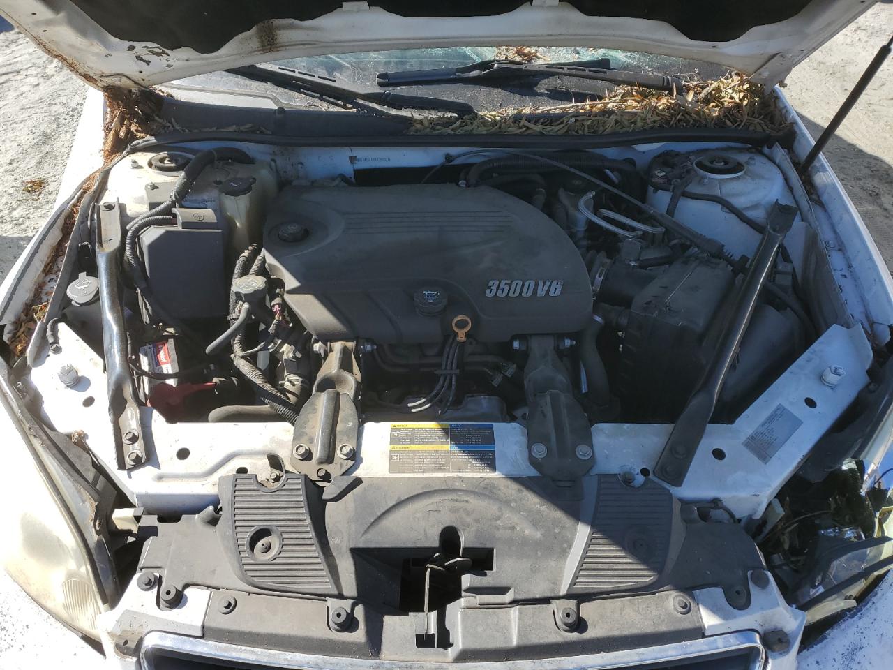 2G1WB5ENXA1255307 2010 Chevrolet Impala Lt