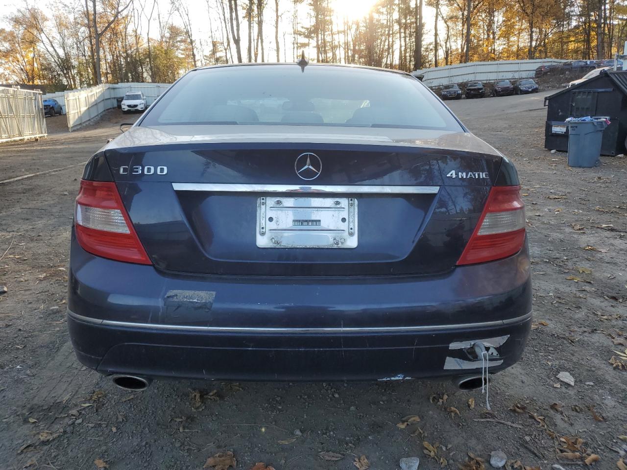 2010 Mercedes-Benz C 300 4Matic VIN: WDDGF8BBXAF415423 Lot: 68986084