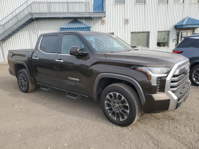  TOYOTA TUNDRA 2023 Коричневий