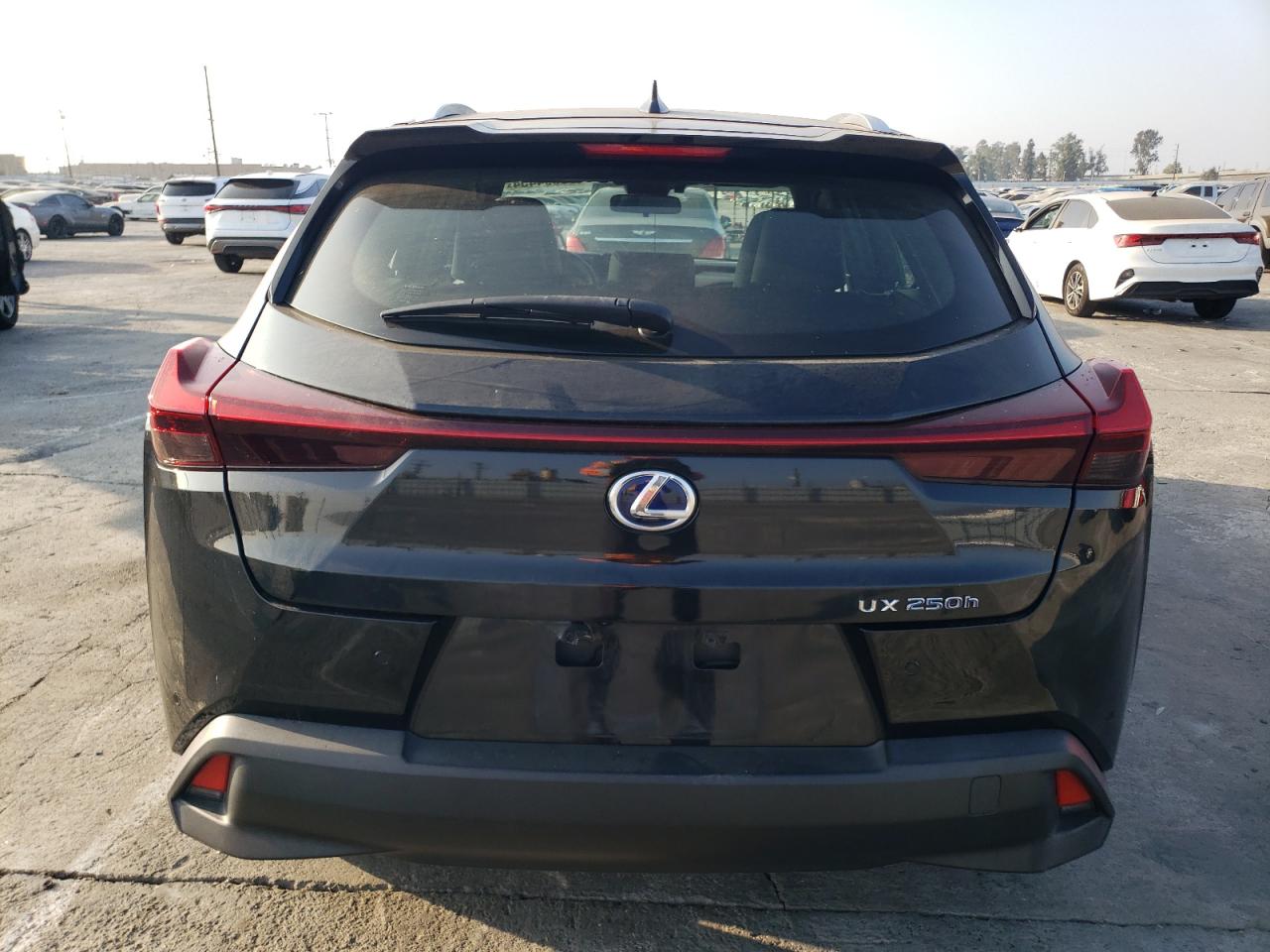 2021 Lexus Ux 250H VIN: JTHX9JBH1M2052954 Lot: 76394454