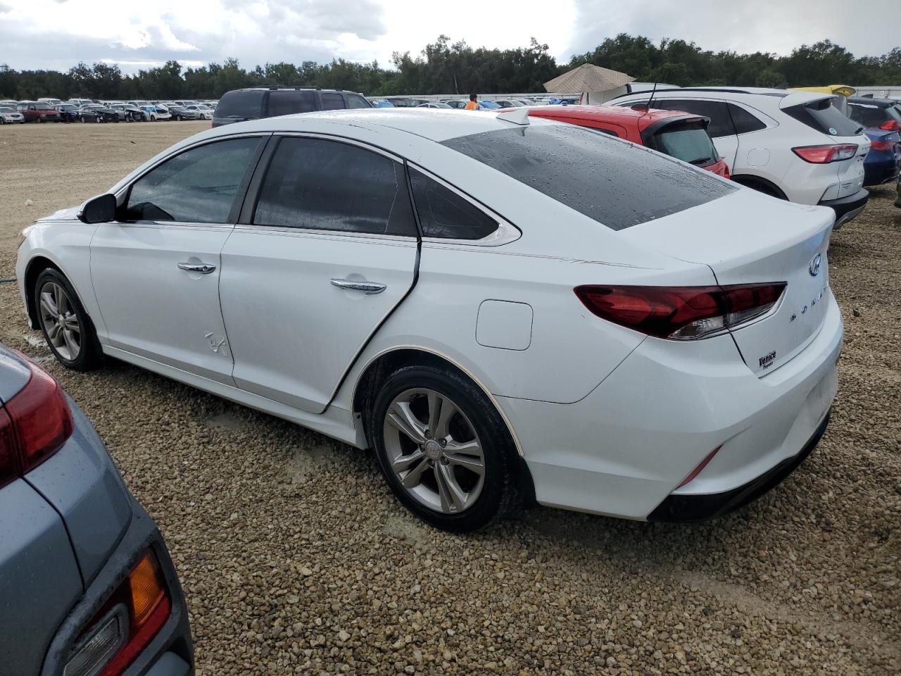 5NPE34AF4KH733584 2019 Hyundai Sonata Limited