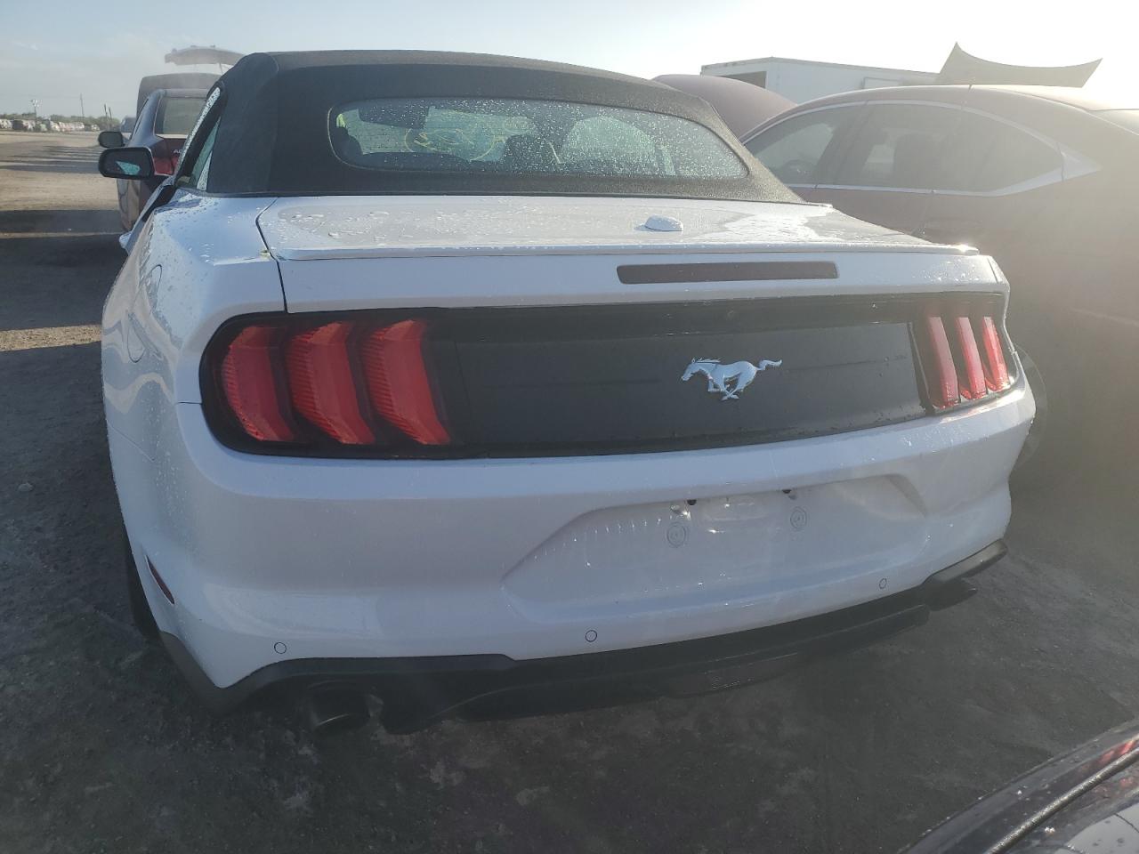 2021 Ford Mustang VIN: 1FATP8UH5M5109897 Lot: 76679134