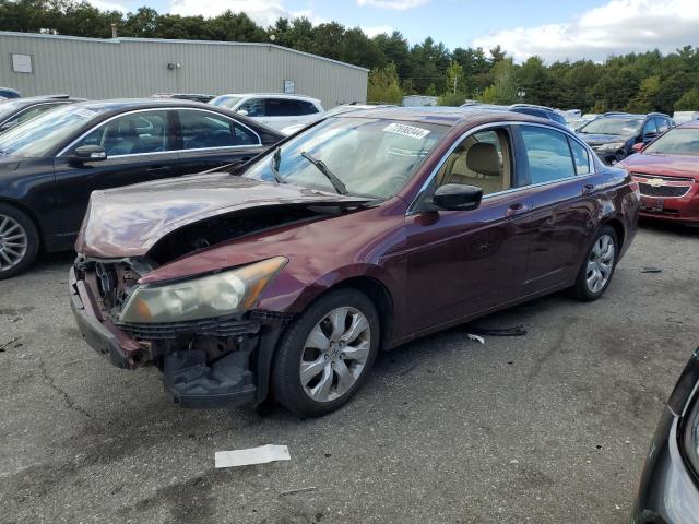 2009 Honda Accord Exl for Sale in Exeter, RI - Front End