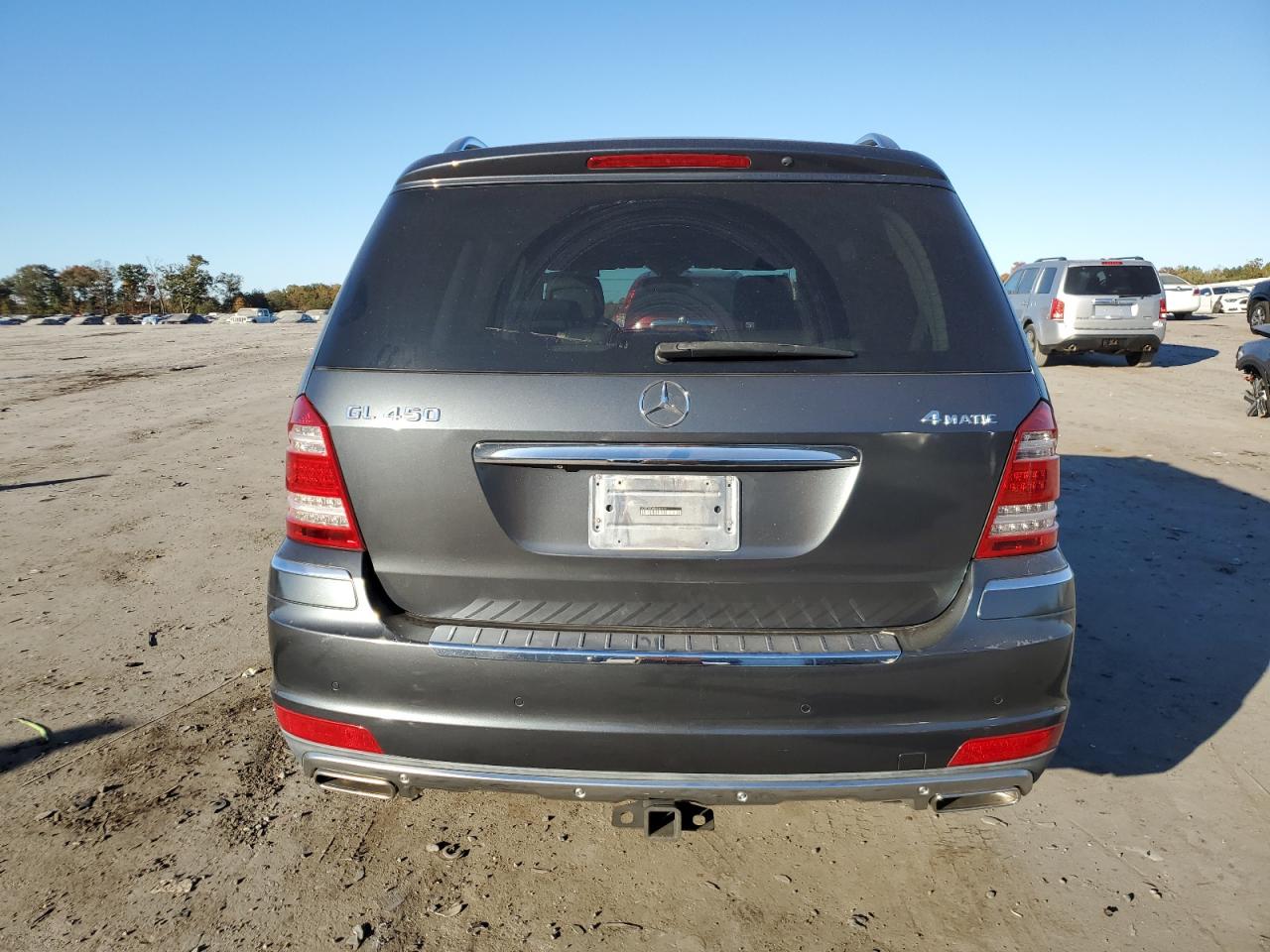 2010 Mercedes-Benz Gl 450 4Matic VIN: 4JGBF7BE0AA546197 Lot: 77309434