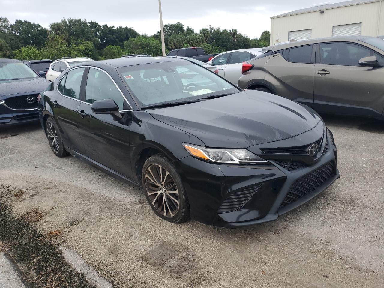 2019 Toyota Camry - Image 4