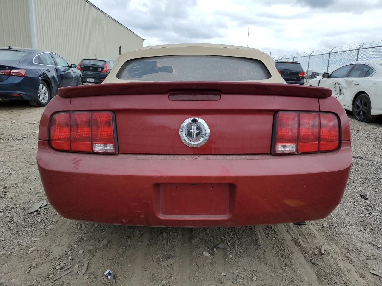 2009 Ford Mustang VIN: 1ZVHT84N195117453 Lot: 74567924