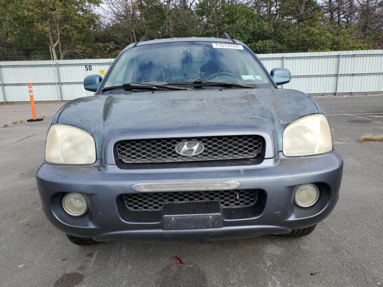 2003 Hyundai Santa Fe Gls VIN: KM8SC73D03U421863 Lot: 71573724