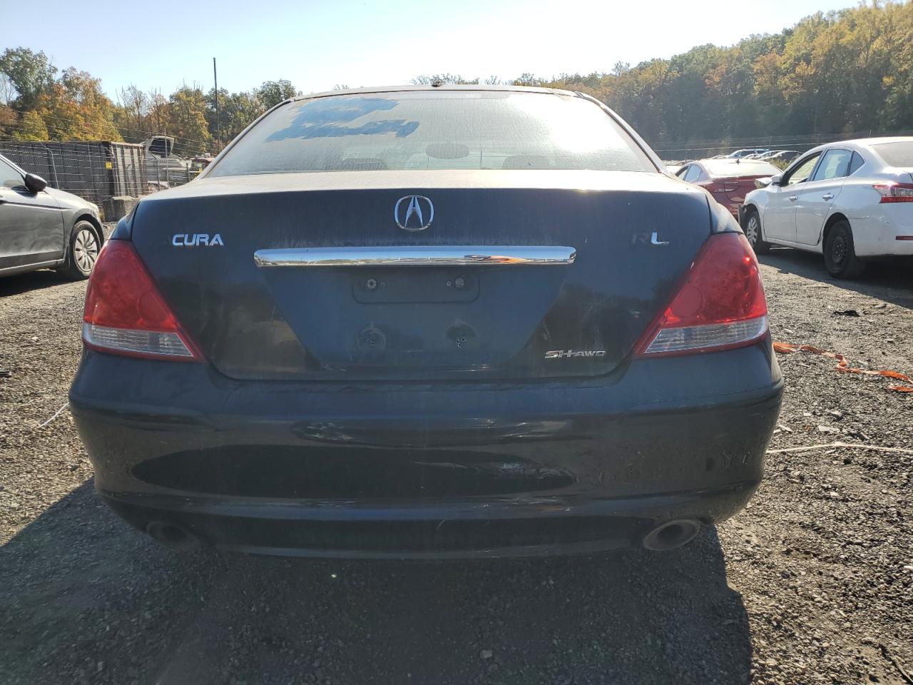 2007 Acura Rl VIN: JH4KB165X7C000235 Lot: 76691284