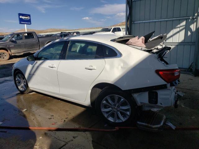  CHEVROLET MALIBU 2024 White