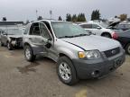 2005 Ford Escape Xlt en Venta en Woodburn, OR - Side