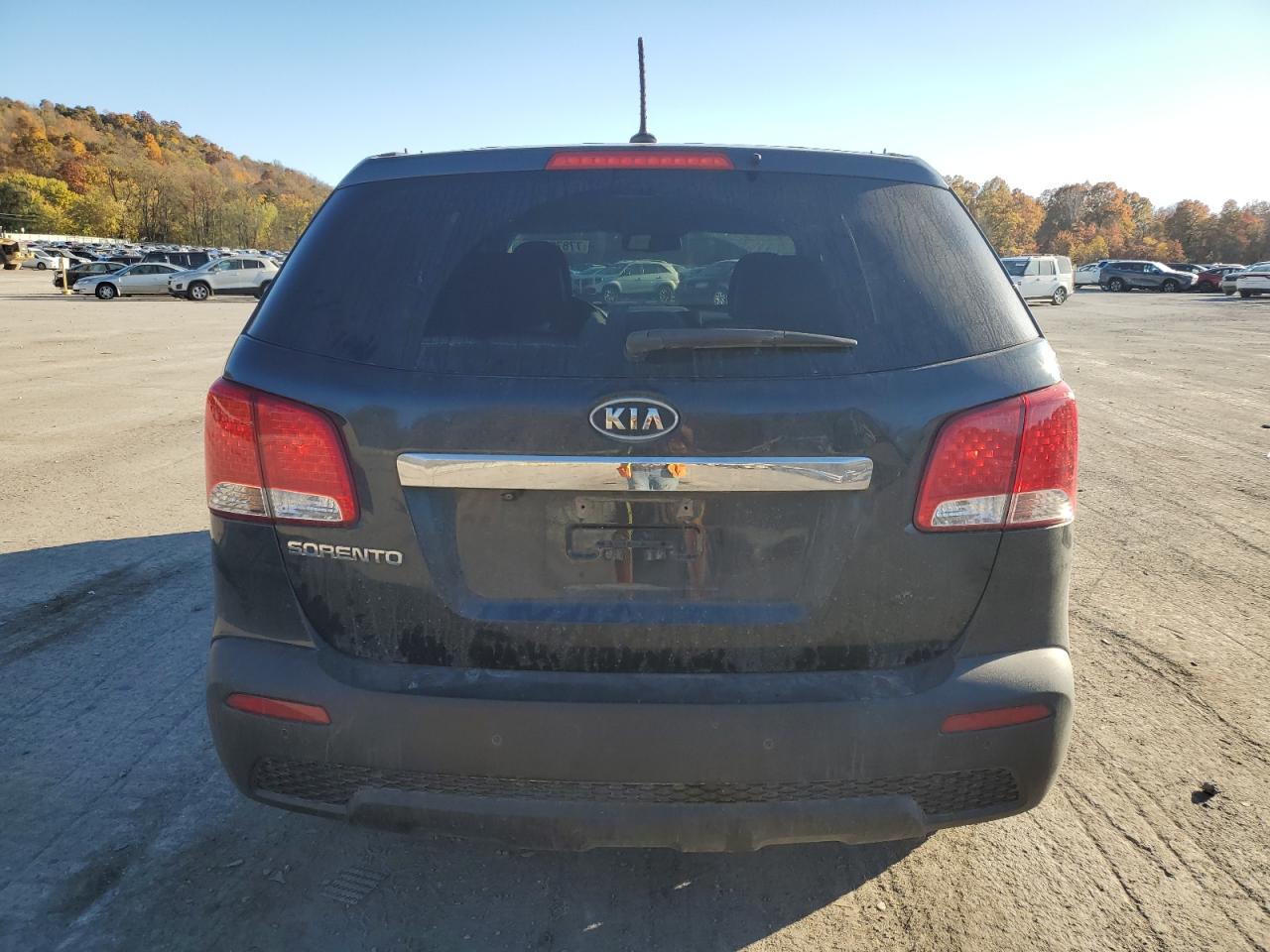 2013 Kia Sorento Lx VIN: 5XYKT3A63DG313872 Lot: 77876964