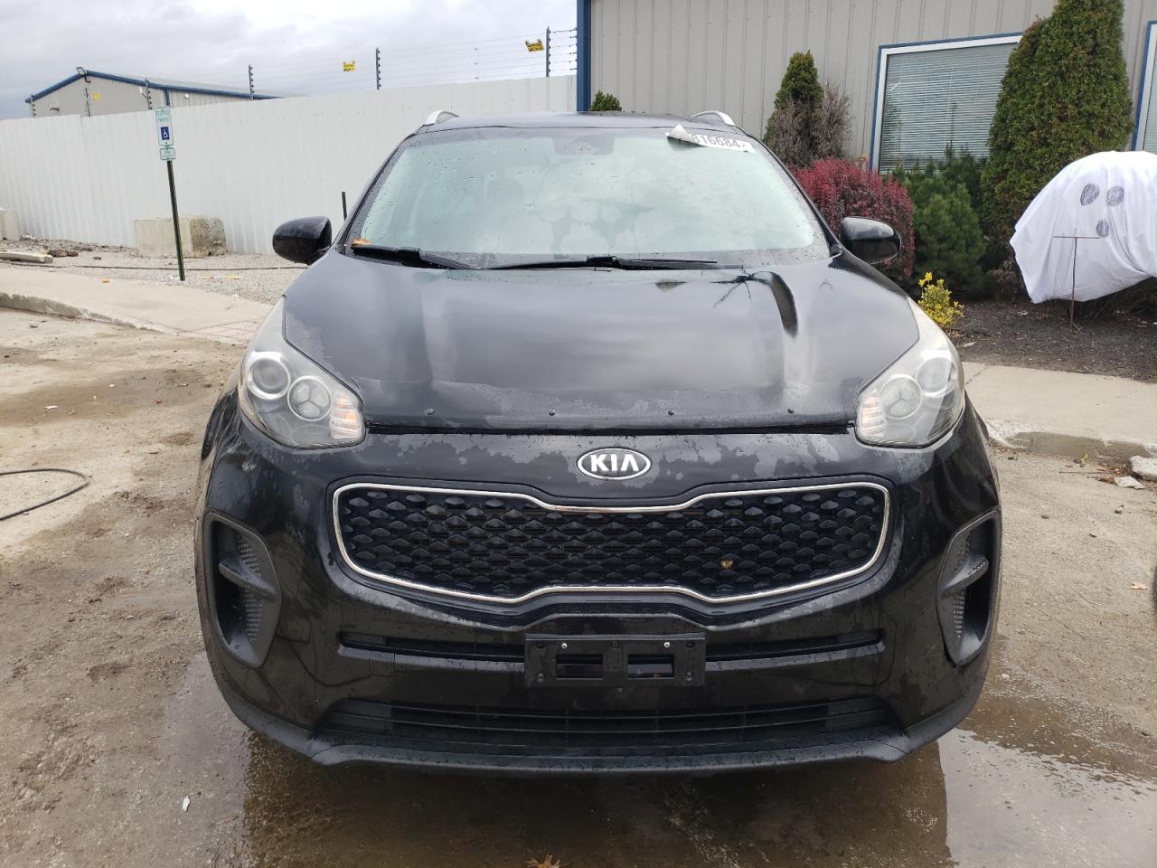 2017 Kia Sportage - Image 5