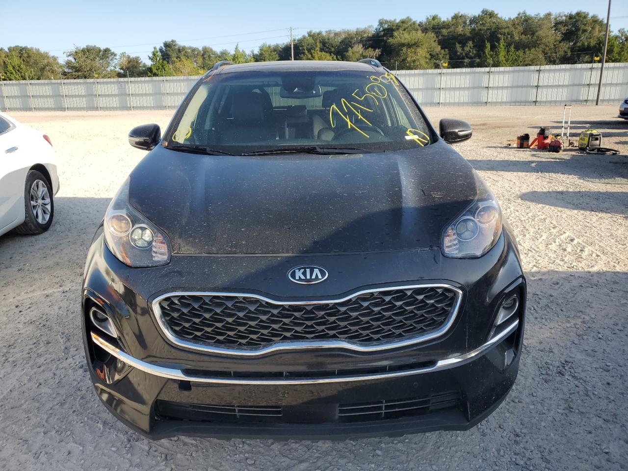 2022 Kia Sportage Ex VIN: KNDPN3AC6N7009567 Lot: 77150904