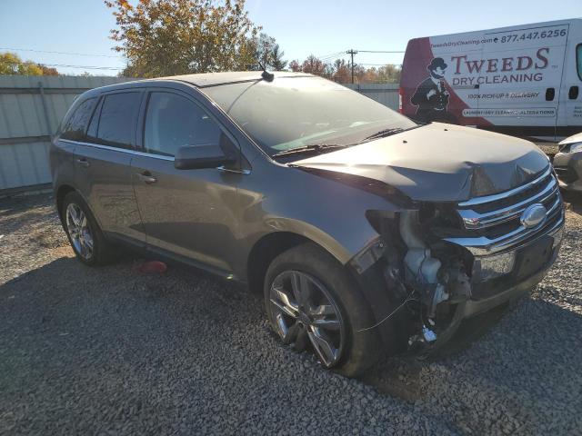 Паркетники FORD EDGE 2012 Золотой