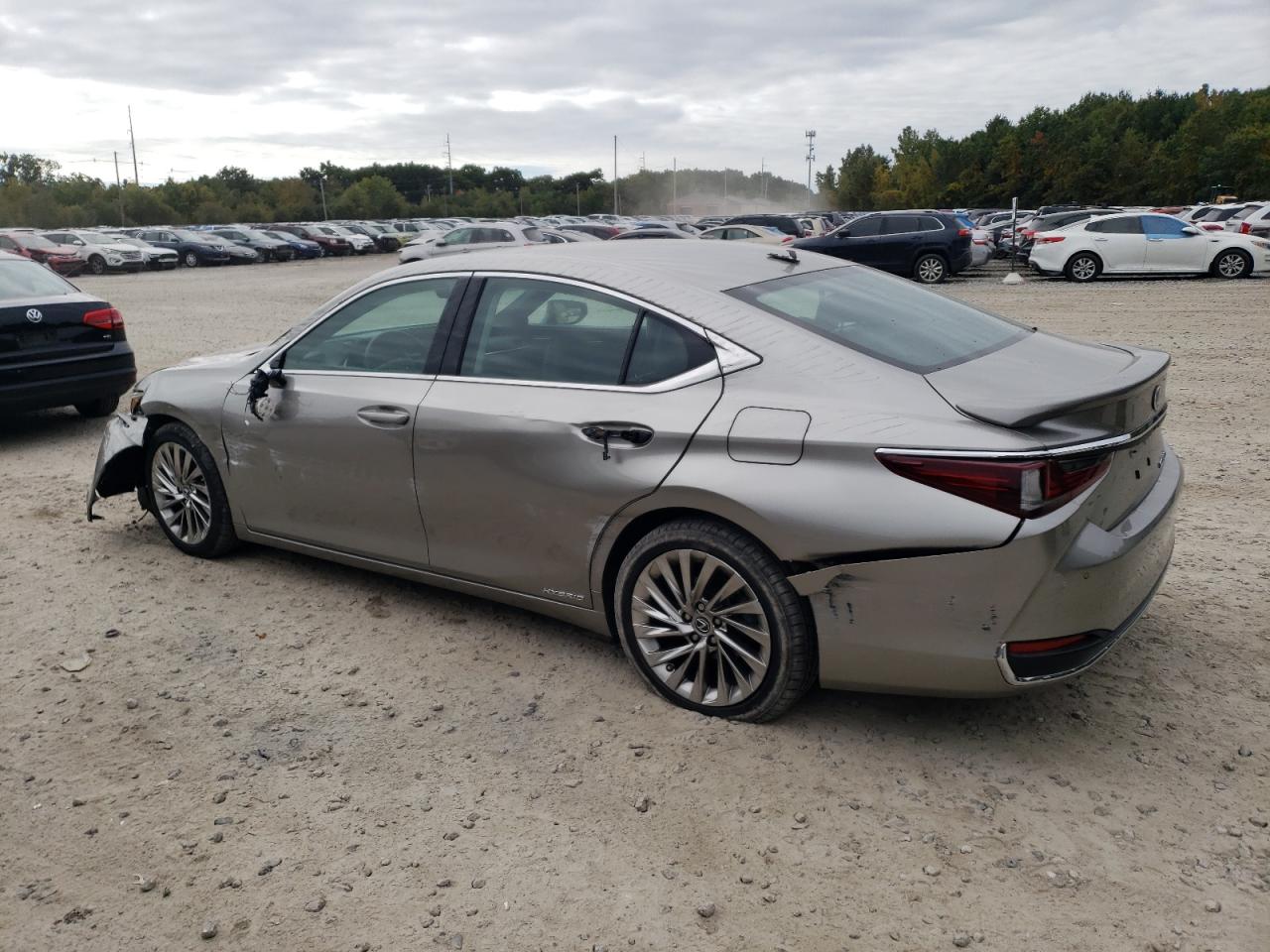 2021 Lexus ES - Image 2