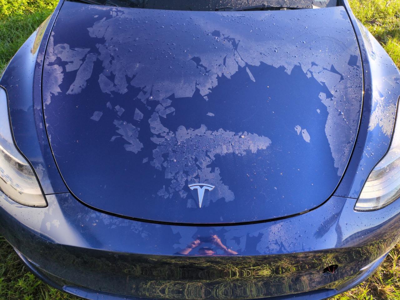 7SAYGDEE9PF88033 2023 Tesla Model Y