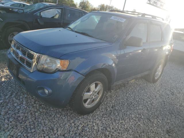 2010 Ford Escape Xlt de vânzare în Columbus, OH - Front End