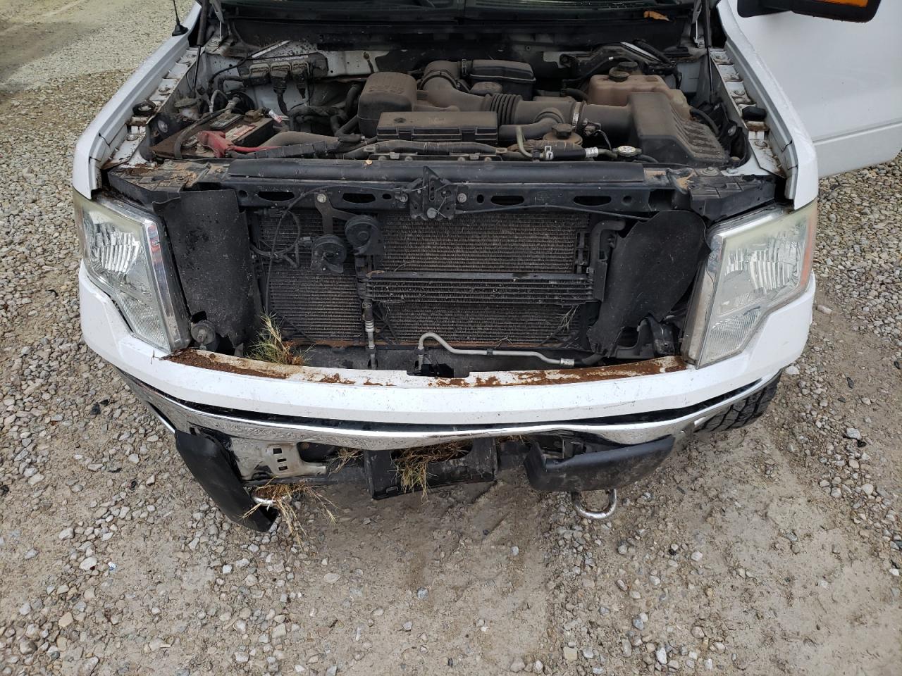 2010 Ford F-150 - Image 12