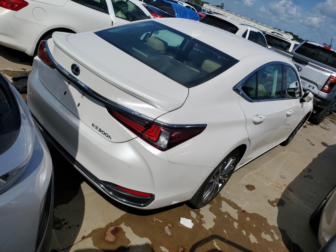 2020 Lexus ES - Image 3