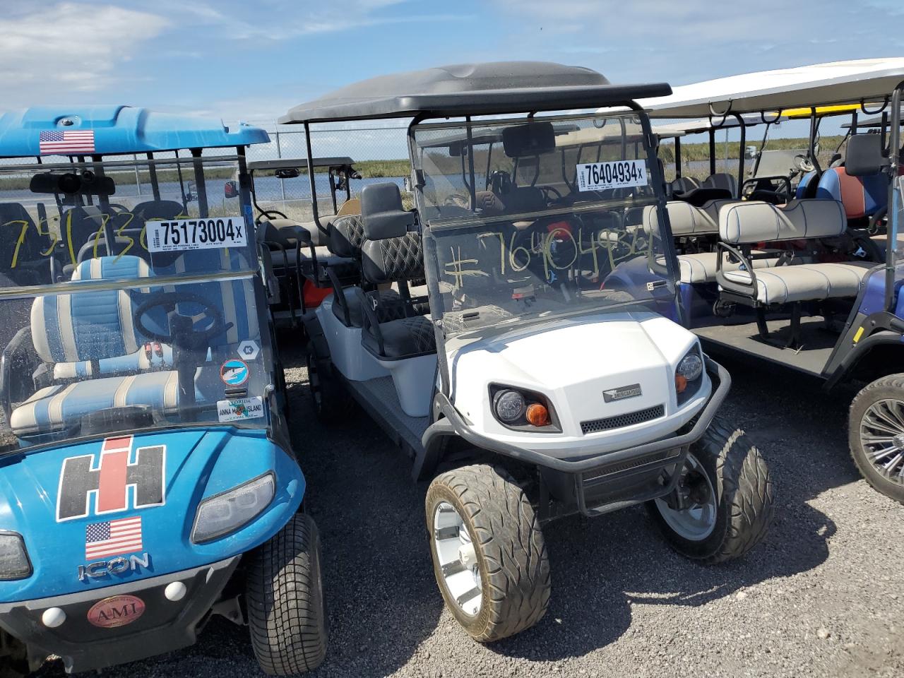 2019 Aspt Golf Cart for Sale in Arcadia, FL - Water/Flood