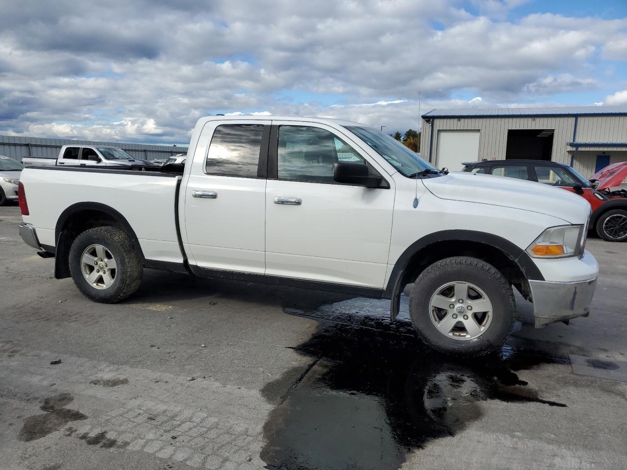 2010 Dodge Ram 1500 VIN: 1D7RV1GP8AS160589 Lot: 76306314